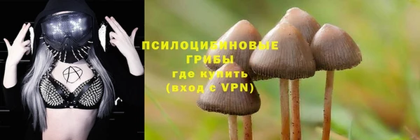эйфоретик Чердынь