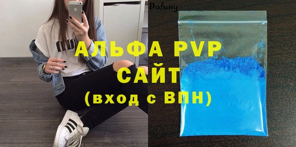 хмурый Бородино