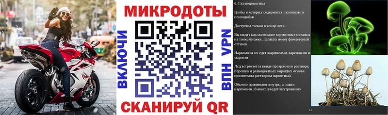 Купить закладки  Кондопога  Галлюциногенные грибы MAGIC MUSHROOMS 
