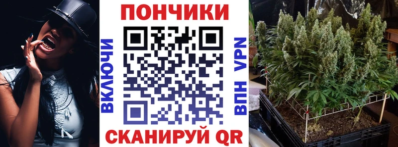 Бошки марихуана THC 21%  Купить закладки  Кондопога 